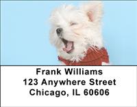 Cute Maltese Address Labels