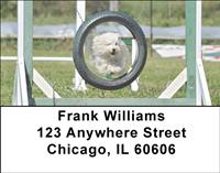 Active Maltese Address Labels