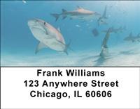 Sleek Sharks Address Labels