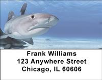 Sleek Sharks Address Labels