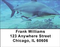 Sleek Sharks Address Labels