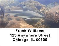Blacktip Sharks Address Labels