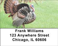 Wild Turkey Address Labels