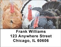 Turkey Gang Address Labels