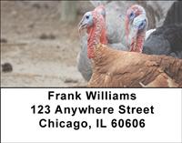 Turkey Gang Address Labels