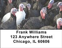 Turkey Gang Address Labels