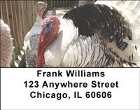 Turkey Gang Address Labels