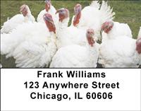 White Turkeys Address Labels