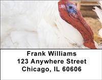 White Turkeys Address Labels