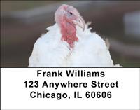 White Turkeys Address Labels