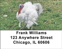 White Turkeys Address Labels