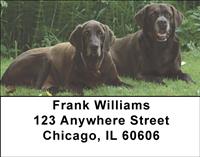 Chocolate Lab Relaxing Address Labels
