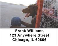 Playful Chocolate Labs Address Labels