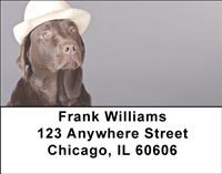 Soulful Chocolate Labs Address Labels