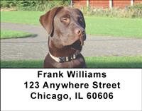 Soulful Chocolate Labs Address Labels