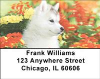 Husky Puppies Address Labels