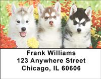 Husky Puppy Pals Address Labels