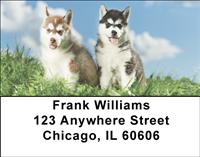 Husky Puppy Pals Address Labels