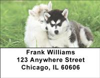 Husky Puppy Pals Address Labels