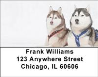 Huskies At Work Address Labels