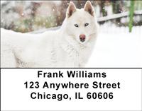Huskies In The Snow Address Labels