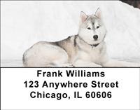 Huskies In The Snow Address Labels