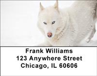 Huskies In The Snow Address Labels