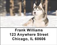 Huskies In The Snow Address Labels