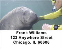 Manatees Address Labels