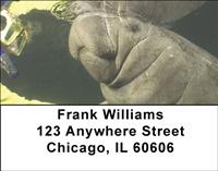 Manatees Address Labels