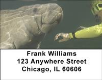 Manatees Address Labels