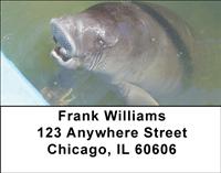 Manatees Address Labels