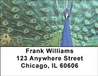 Peacocks Address Labels