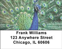 Peacocks Address Labels