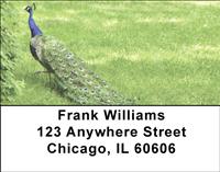 Peacocks Address Labels