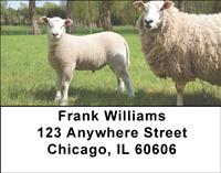 Sheeps and Lambs Address Labels