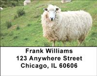 Out To Pasture Address Labels