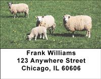 Out To Pasture Address Labels