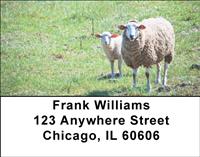 Out To Pasture Address Labels