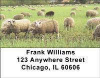 Out To Pasture Address Labels