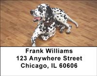 Cute Dalmatians Address Labels