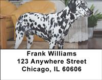 Cute Dalmatians Address Labels