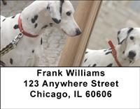 Cute Dalmatians Address Labels