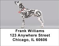 Picture Perfect Dalmatians Address Labels