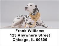 Picture Perfect Dalmatians Address Labels