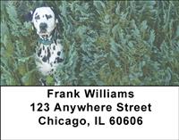 Playful Dalmatians Address Labels