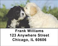 Bichon Frises Outdoors Address Labels