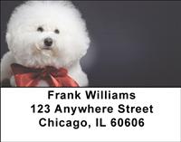 Bichon Frise Portrait Address Labels