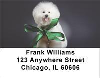Bichon Frise Portrait Address Labels