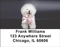 Bichon Frise Portrait Address Labels
